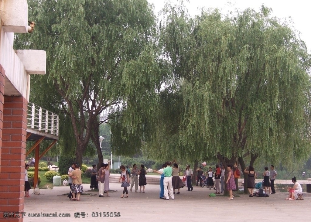 垂柳树下 青岛 李村公园 两棵巨柳 树荫下 跳舞人群 休闲 娱乐 健身 旅游摄影