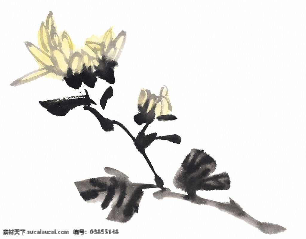国画花卉 中国画 中国 传统 绘画 花卉 文化艺术 传统文化