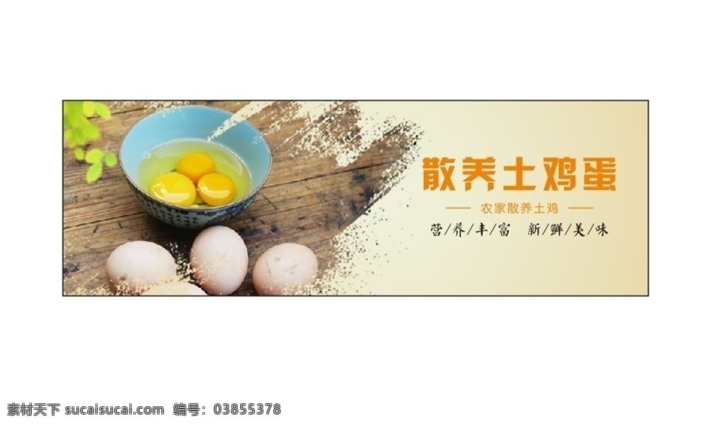 农家土鸡蛋 鸡蛋分类 banner 散养土鸡蛋 超市鸡蛋标签