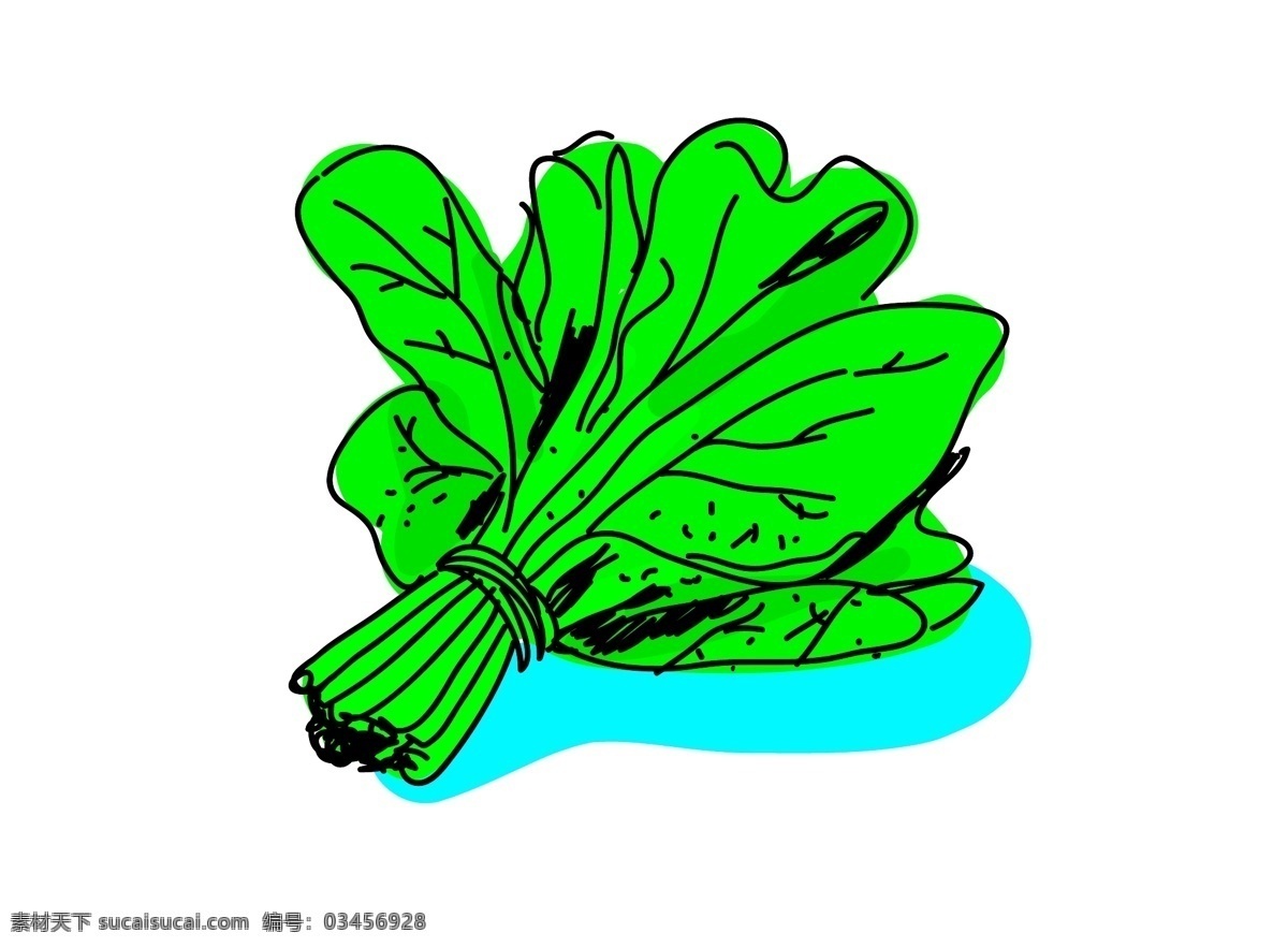 手绘菠菜 s矢量蔬菜 菠菜 绿叶菜 手绘 ps蔬菜 蔬菜 元素