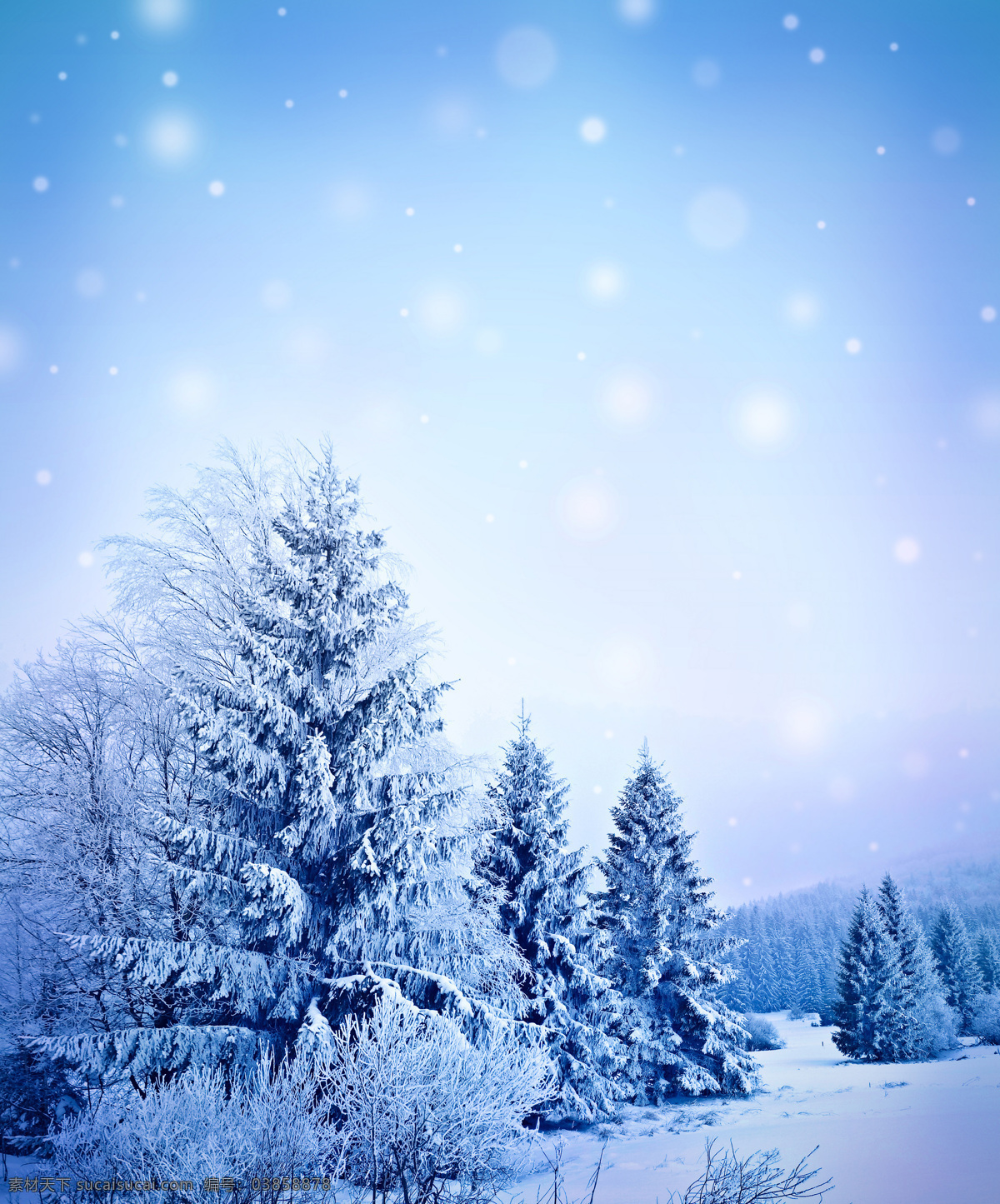 美丽雪山美景 冬季 冬天 雪景 美丽风景 景色 美景 雪山 树林 自然风景 自然景观 蓝色