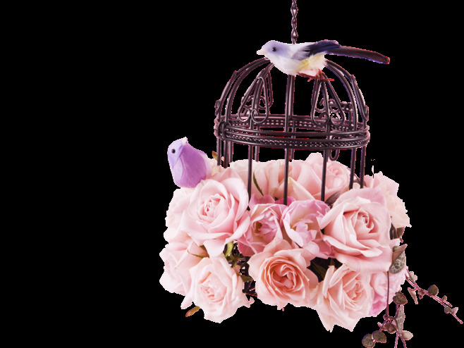 浪漫 清新 深色 鸟笼 产品 实物 产品实物 粉色花朵 笼子 小鸟