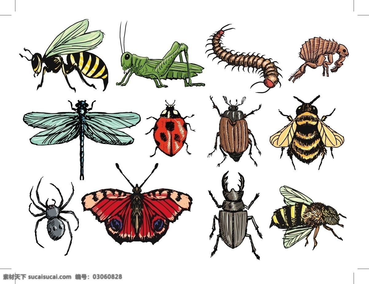款 彩绘 昆虫 javascript 设计矢量素材 蜜蜂 蚂蚱 瓢虫 蜘蛛 蝴蝶 蜻蜓 锹形虫 矢量图