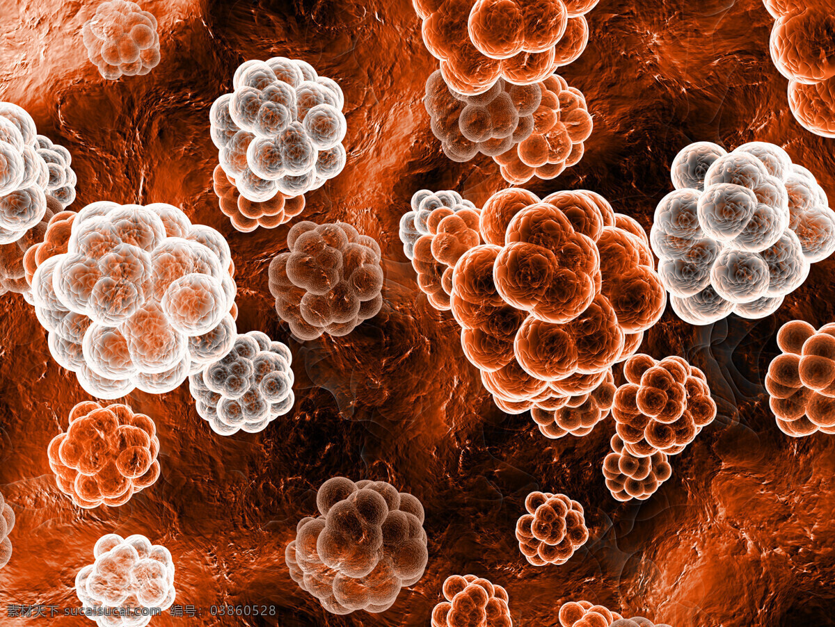 病毒 细菌 微生物 血细胞 入侵 吞噬 血小板 细胞 禽流感 h7n9 非典 传染病 医学 医疗 3d 医疗护理 现代科技