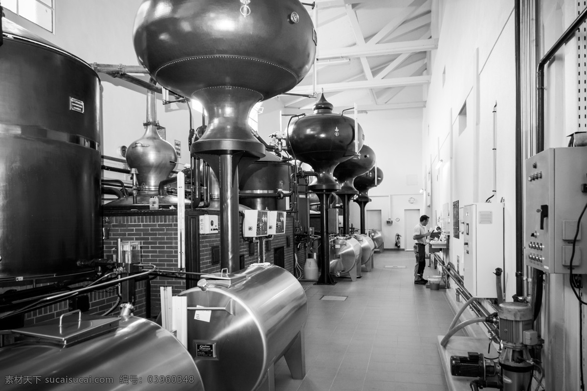 干邑 夏 郎德 蒸馏器 边林区 葡萄园 最稀少的 夏季 工业生产 现代科技