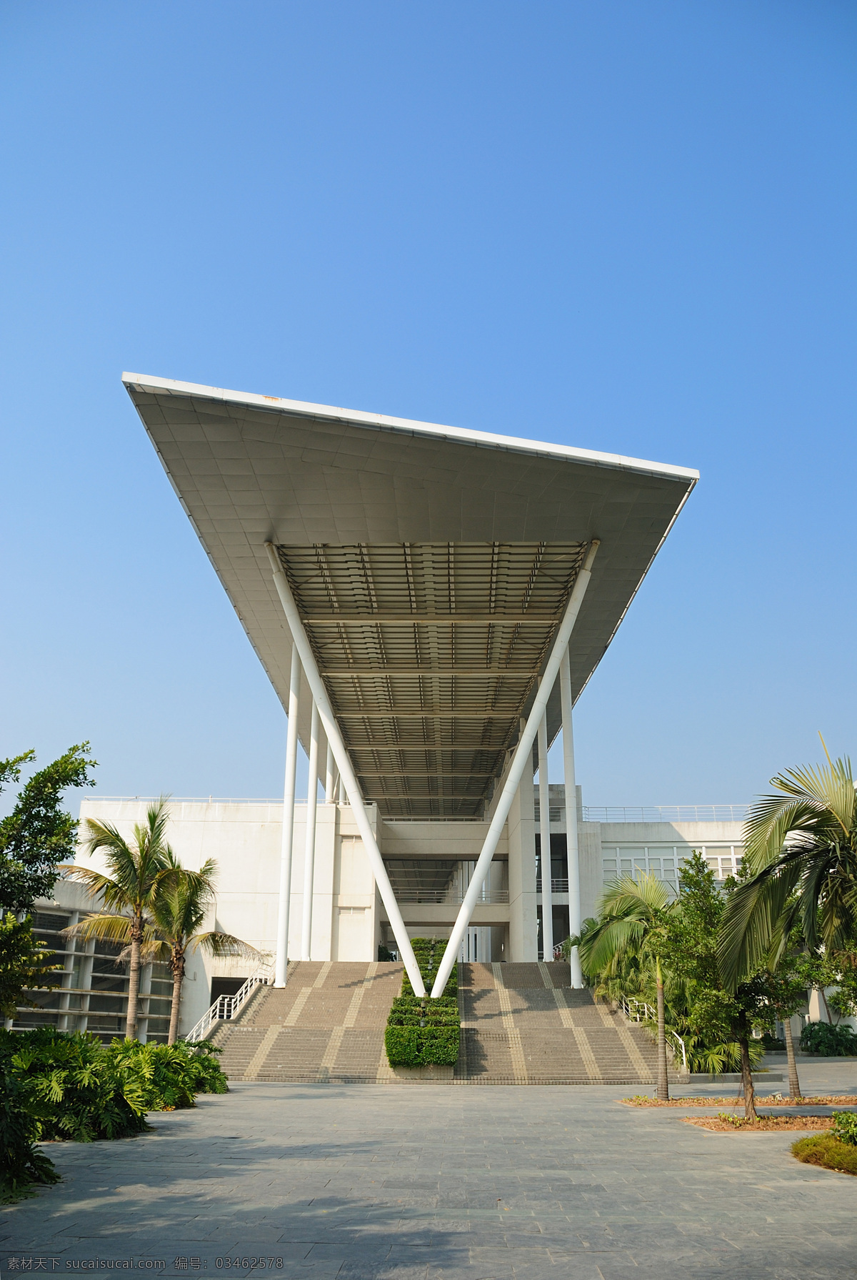 北京大学 深圳 研究生院 教学楼 北大 建筑摄影 雨棚 线条 深圳风光 花草 生物世界