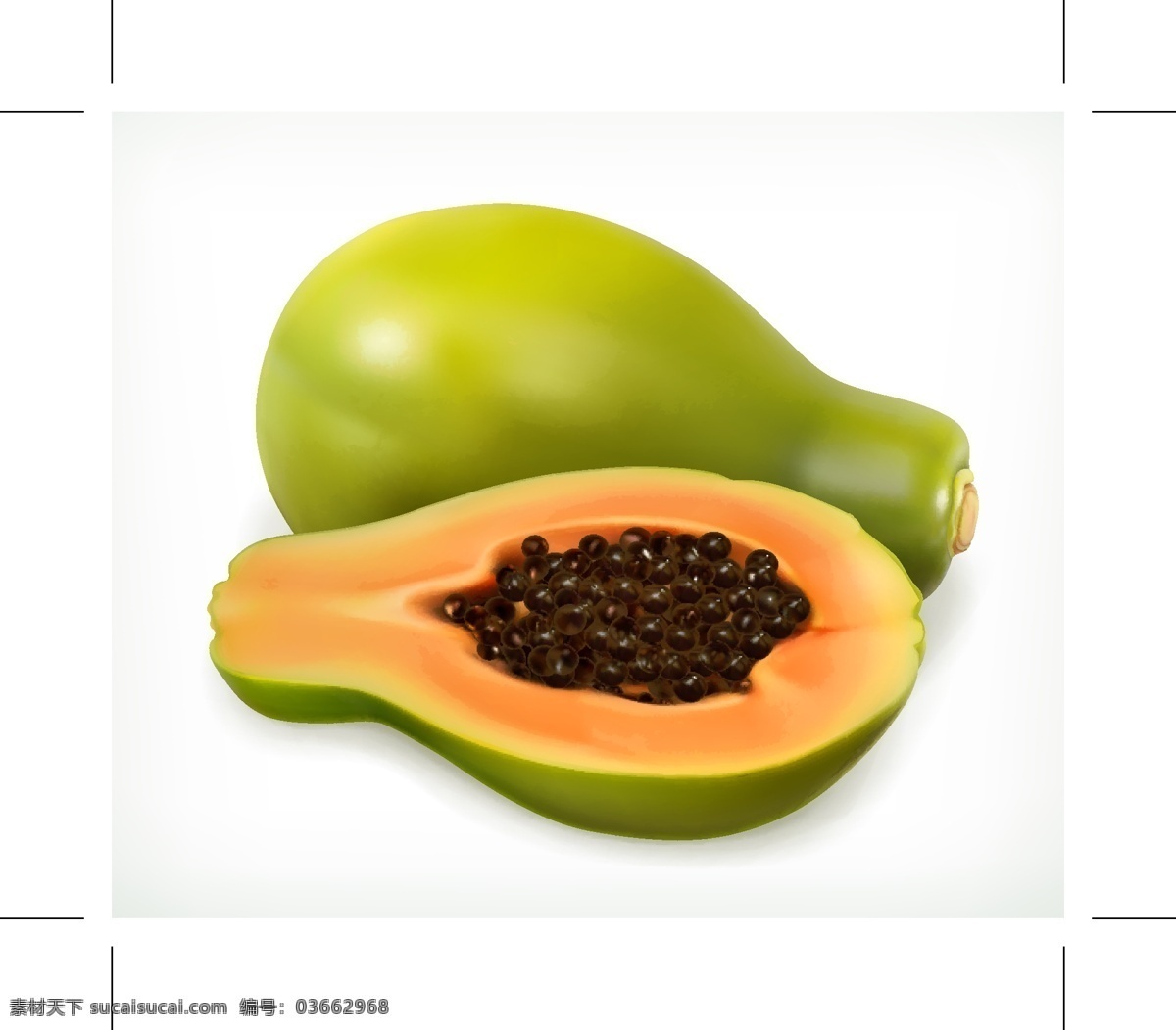 木瓜矢量 木瓜水彩 水果矢量素材 木瓜 水彩 水果 矢量 papaya 蔬菜 食物 生物世界