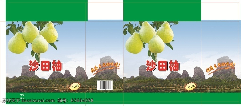 柚子彩箱设计 柚子 水果 沙田柚高清图 水果彩箱设计 风景图 包装设计