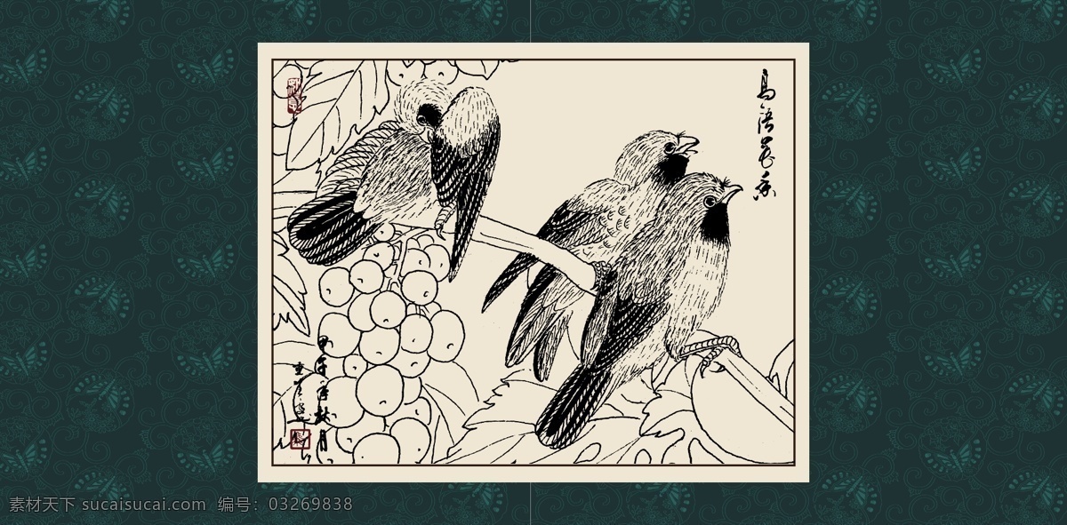 葡萄 绘画 白描 线描 手绘 国画 毛笔画 工笔 轮廓 印章 书法 装裱 植物 花卉 花草 花鸟 昆虫 白描藤萝 文化艺术 绘画书法