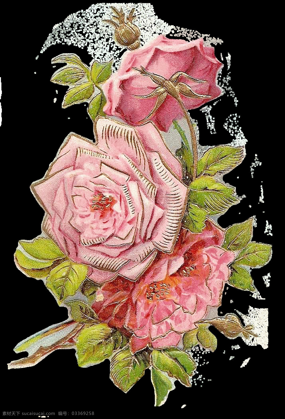 綠 葉 漂亮 花 高清 綠葉 插画集