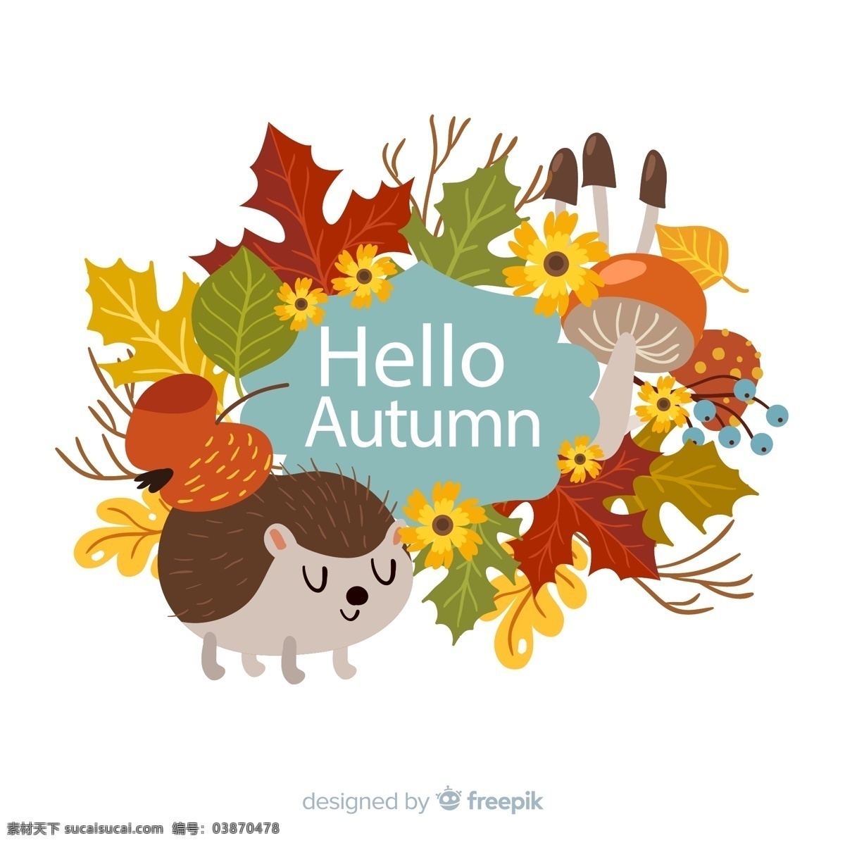 刺猬 花草 框架 动物 可爱 秋季 花卉 树叶 矢量 高清图片