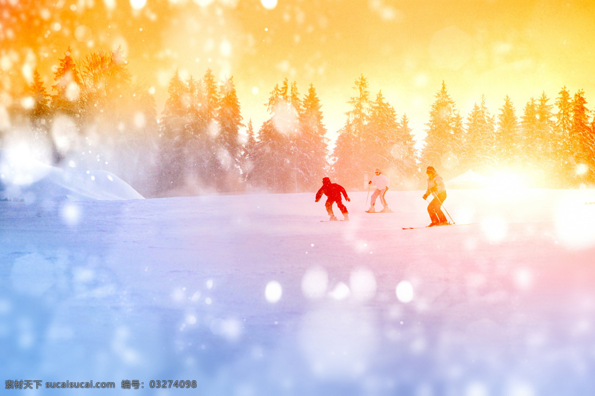 雪地 上 滑雪 人 滑雪的人 树林 美景 滑雪图片 生活百科