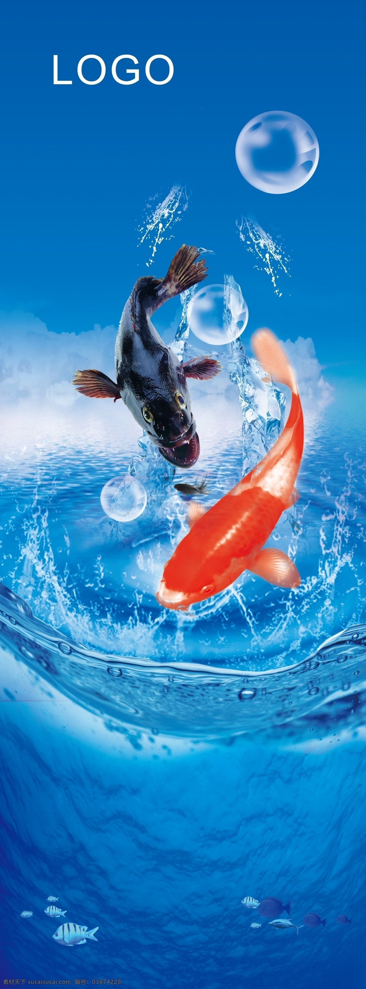 精品鱼 鱼 水花 蓝色背景 海鲜 水产 海产品 水泡 店 户外 宣传 广告设计模板 源文件