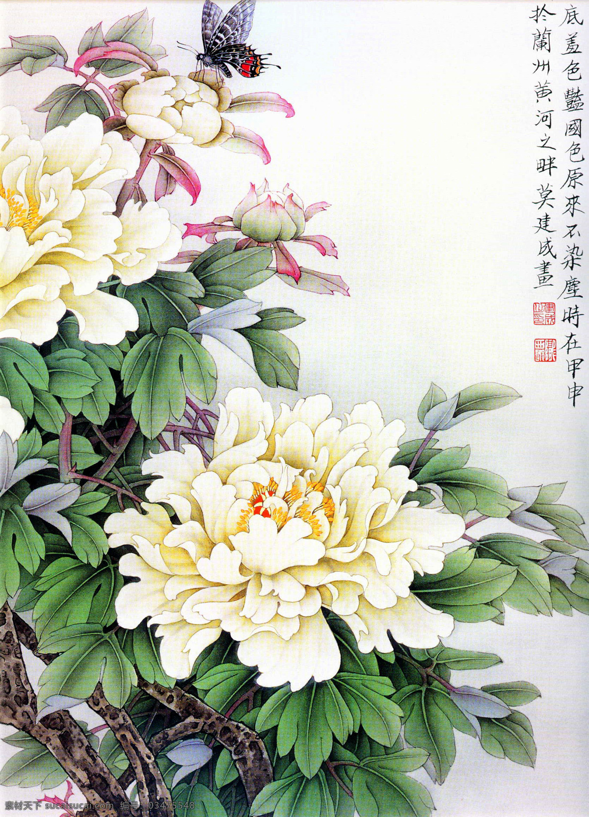 天香引蝶 美术 中国画 工笔画 牡丹画 白牡丹 蝴蝶 国画艺术 国画集75 绘画书法 文化艺术