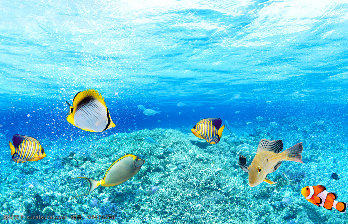 真实 高清 海底 世界 海水 海草 小丑鱼 珊瑚 自然景观 自然风景 摄影图库