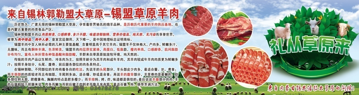 羊肉海报 西蒙 草原 绿色