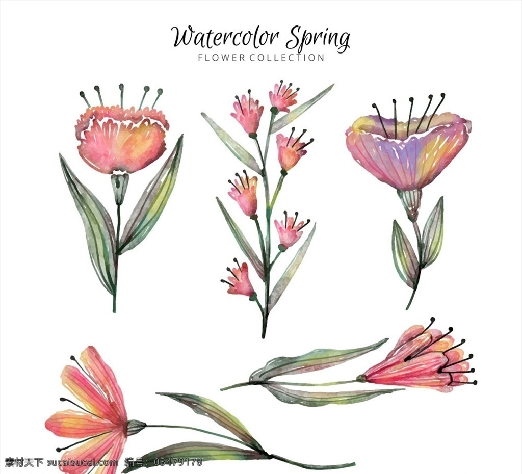 水彩 绘 春季 花卉图片 花卉 矢量图 格式 矢量 高清图片