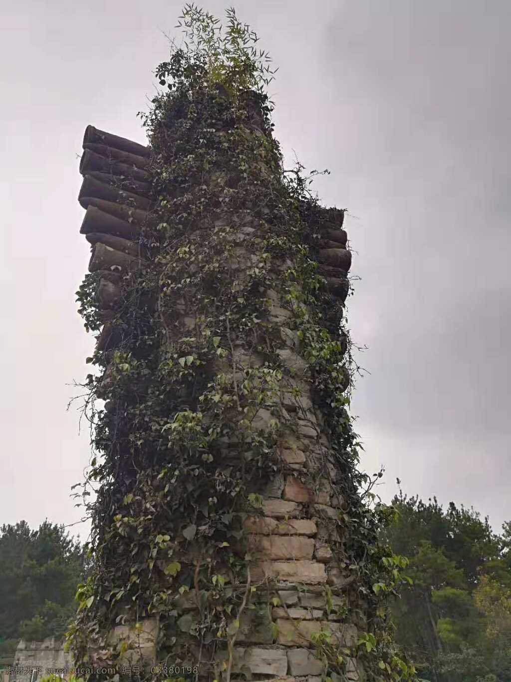 屹立的石柱 石头 雕塑 藤蔓 木头 山 个人摄影 旅游摄影 国内旅游