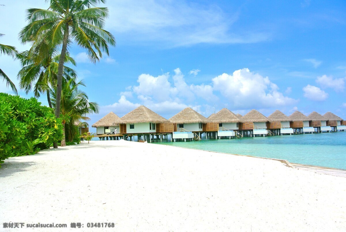 海边 芭蕉树 海景 夏日 海滩 风景 自然景观 自然风景