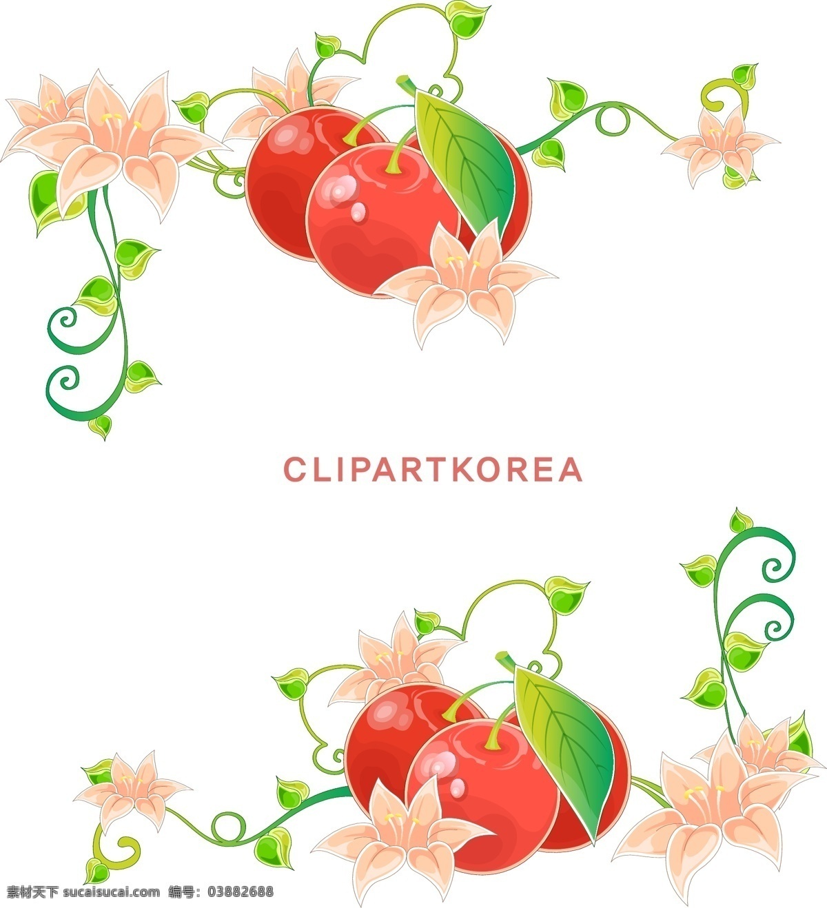 韩国 植物 花边 边框 矢量图