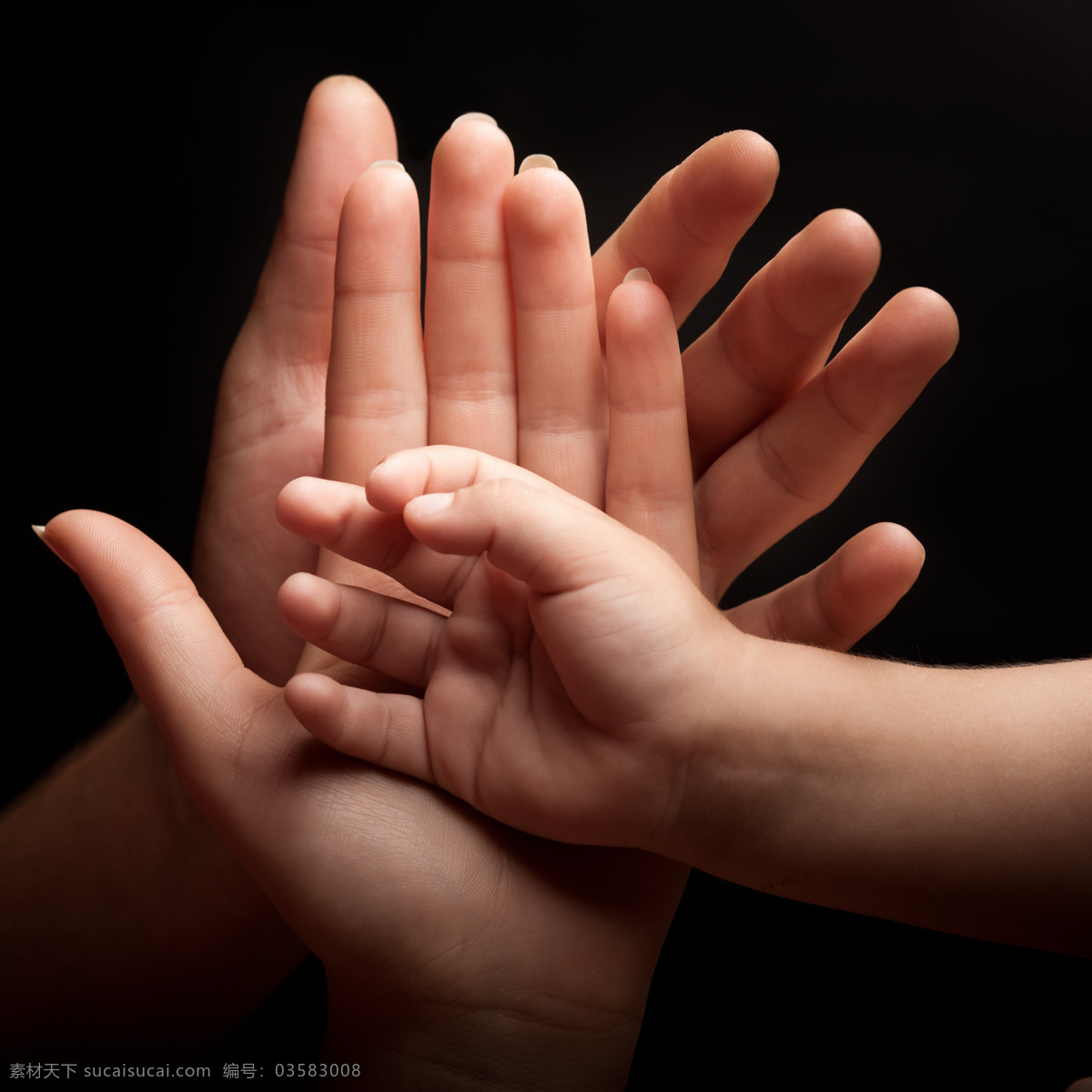 父母 手心 里 婴儿 手 父母手 大人手 婴儿手 手臂 手掌 手势 人体器官 动作姿势 人体器官图 人物图片