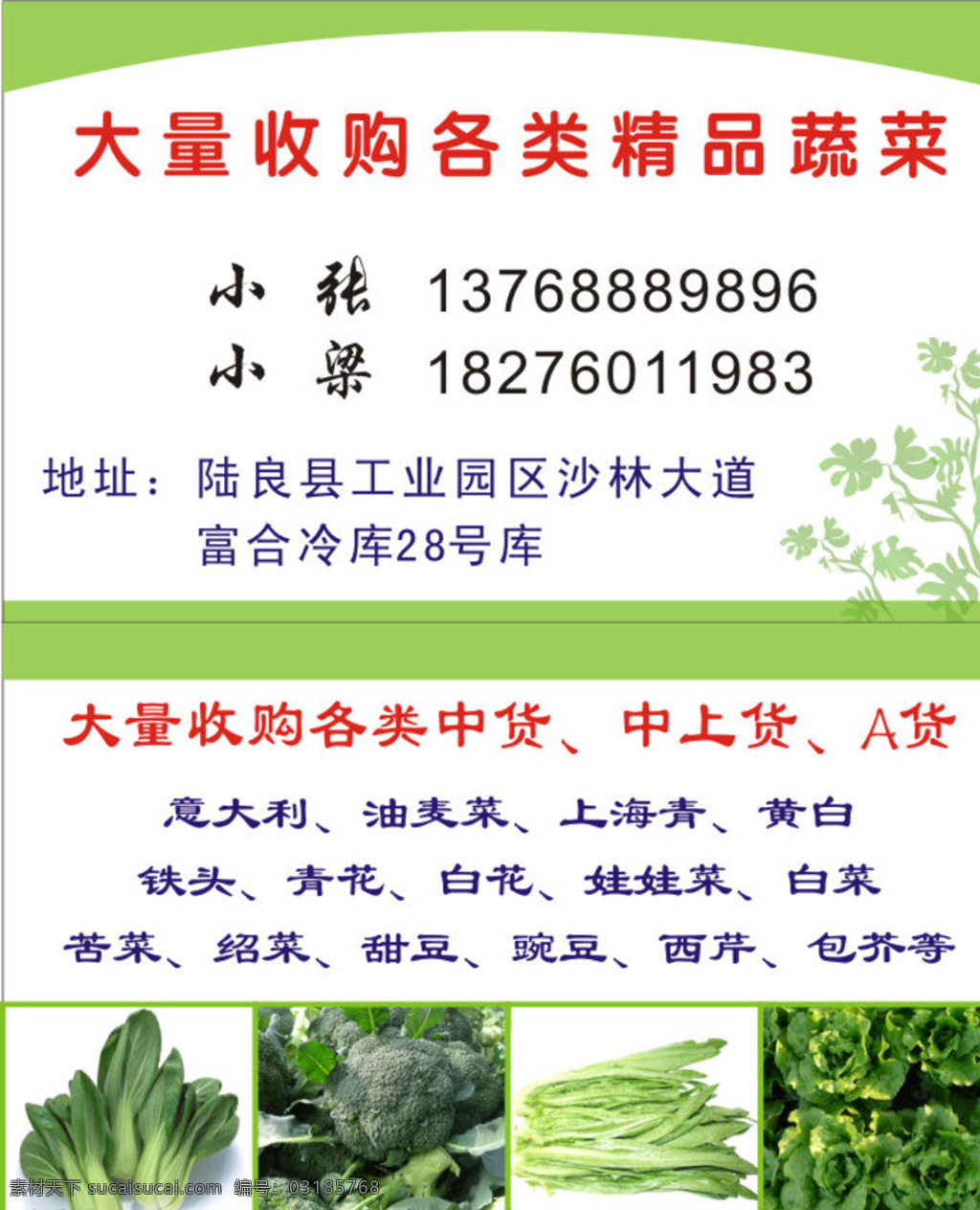 蔬菜名片 蔬菜 名片 绿色 宣传 草 青菜 日常 名片卡片 白色