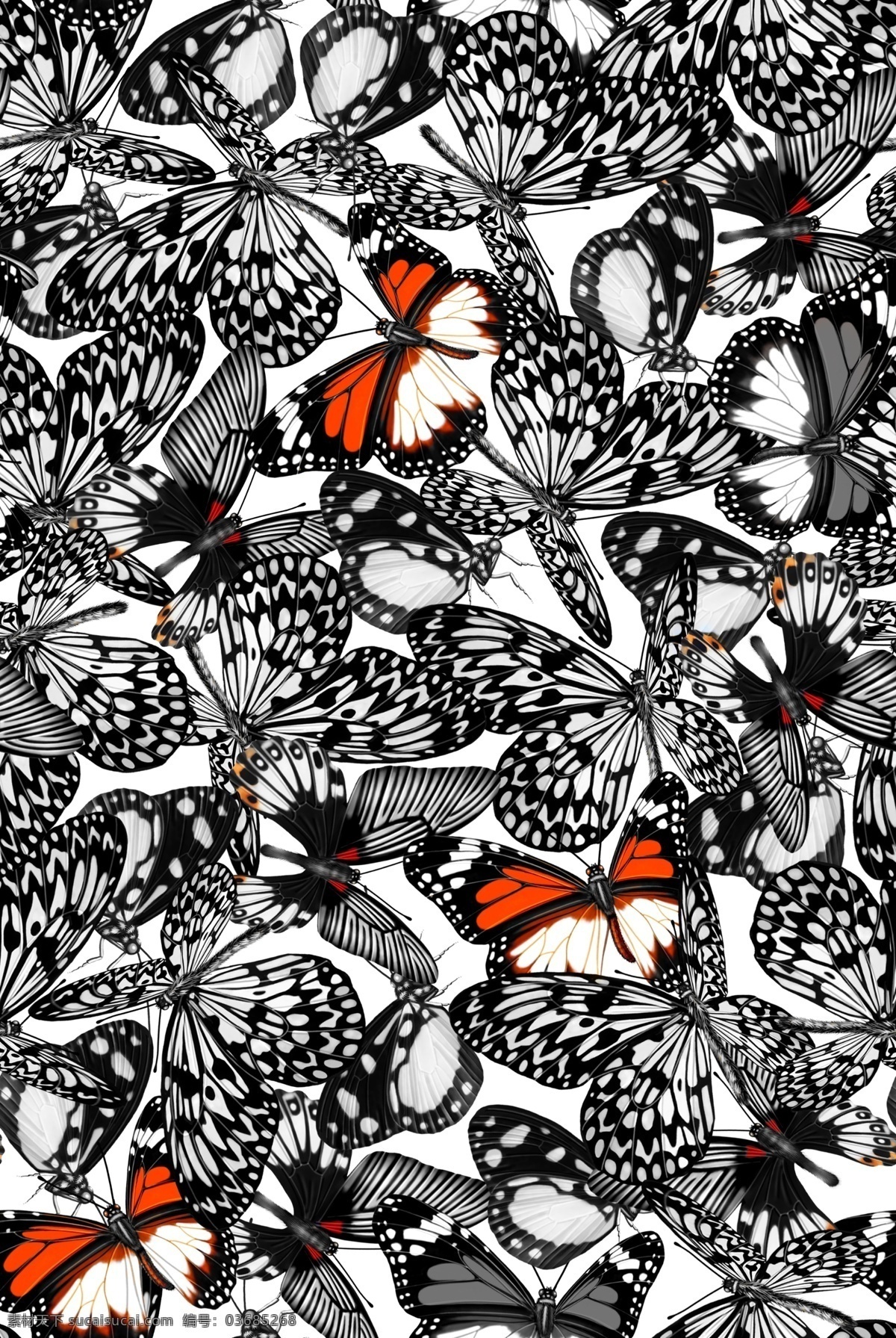 黑白 蝴蝶 昆虫 抽象 循环 分层