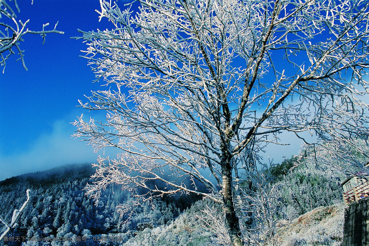 冬天 雪景 背景 冬天雪景 风光 风景 季节 摄影图库 自然 自然风景 自然景观 生活 旅游餐饮