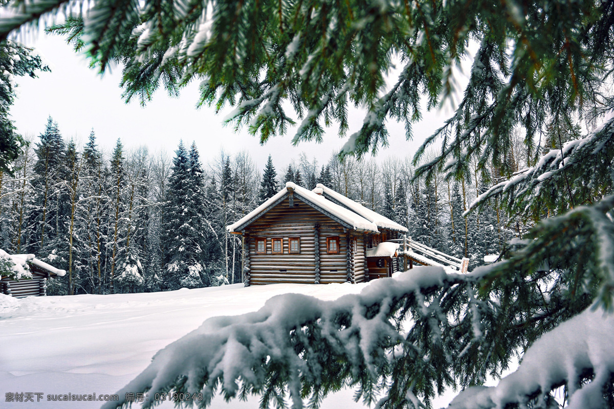 雪景 森林 雪地 白雪 松树 针叶林 树林 小屋 木屋 房子 房屋 冬天 冬季 美景 自然 美丽自然 自然风景 自然景观