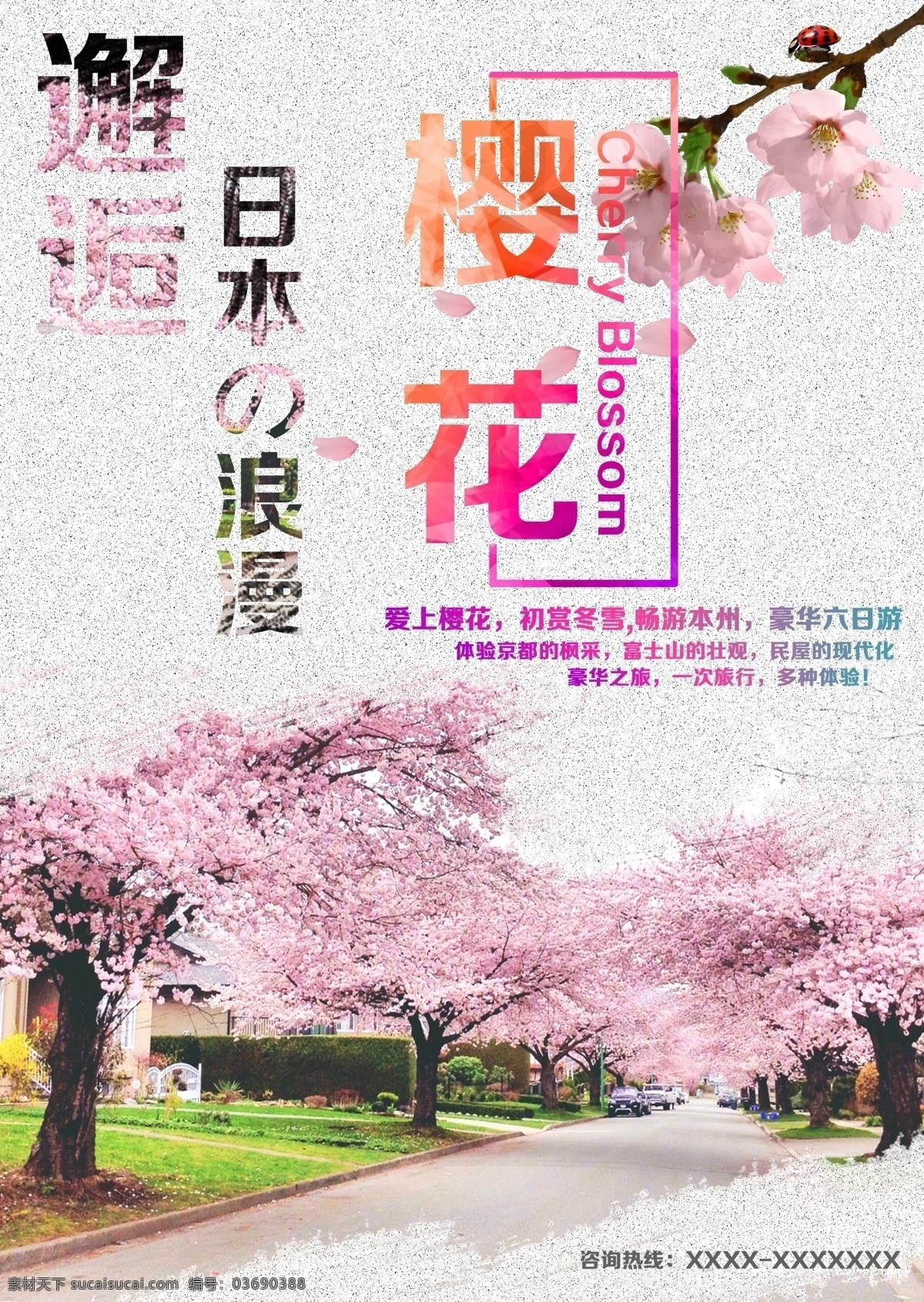 日本 樱花 宣传海报 樱花宣传 海报 旅游 浪漫 邂逅 风景 自然 人文