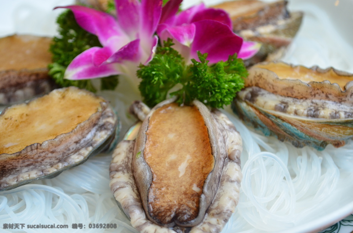 小鲍鱼 海鲜 珍贵 美味 可口 鲜嫩 中餐 传统美食 餐饮美食