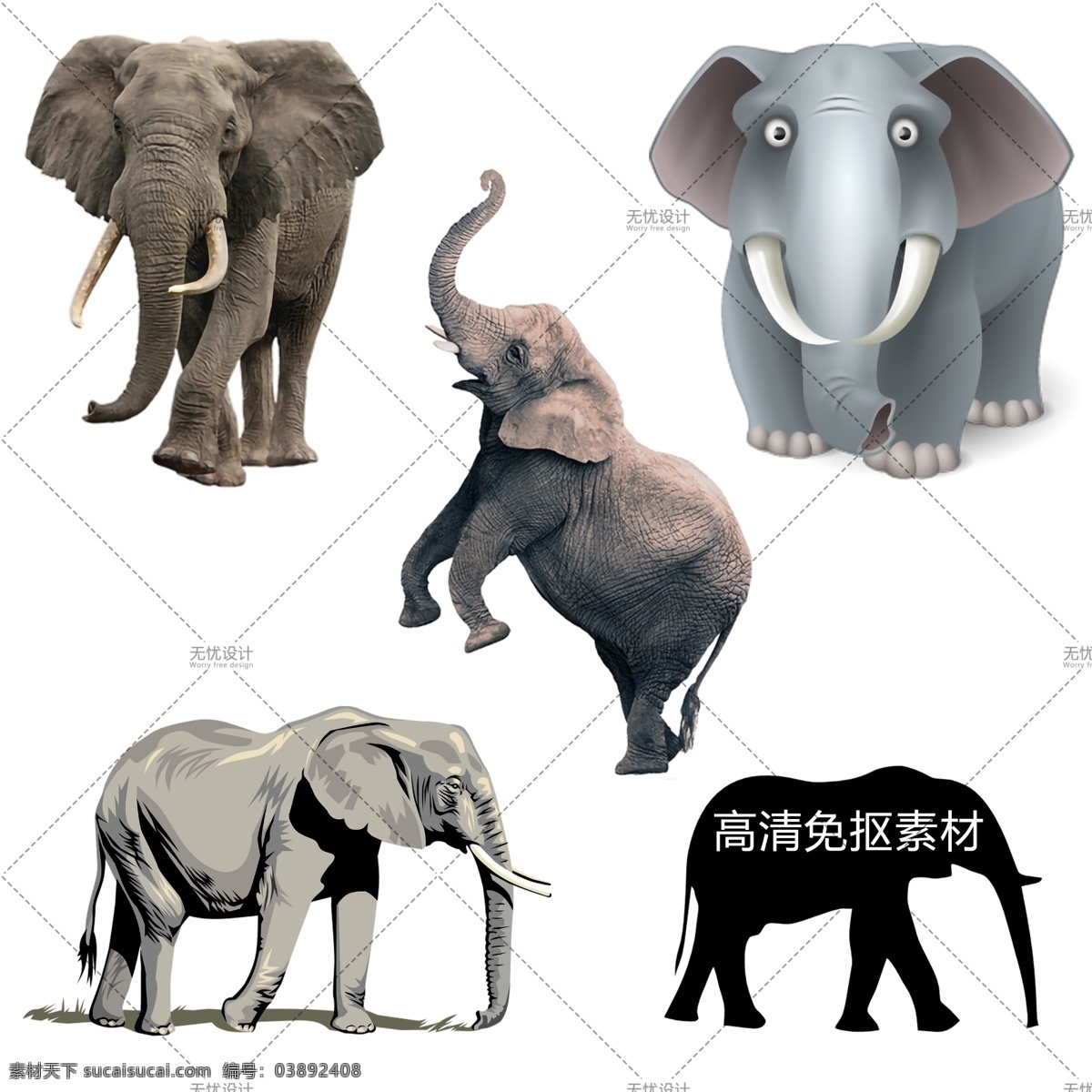 透明素材 png抠图 稀有动物 珍稀动物 保护动物 亚洲象 非洲象 猛犸象 剪影 大型动物 哺乳动物 透明素材合辑 分层 卡通大象 小象