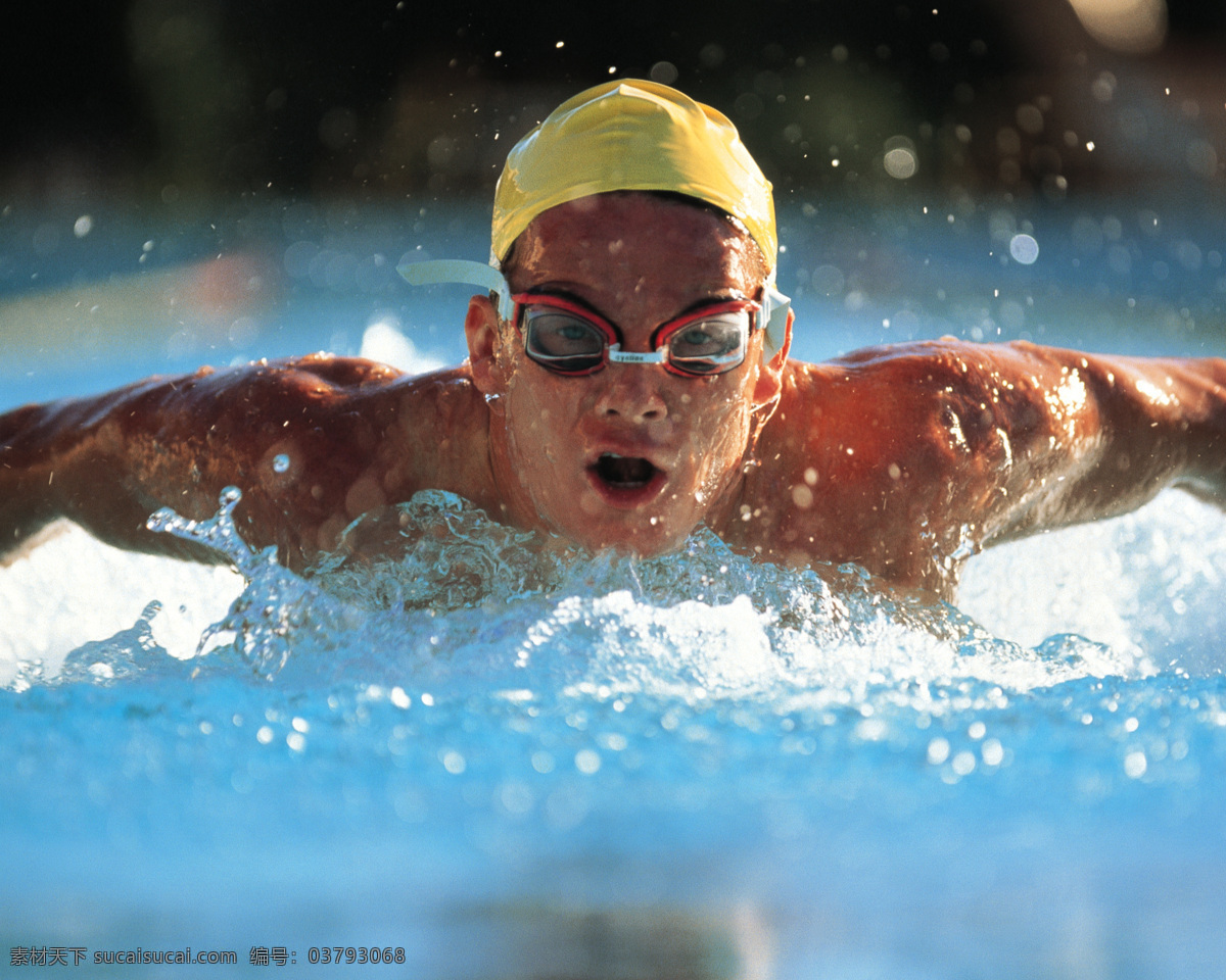 游泳比赛 游泳运动 游泳池 竞技体育 蛙泳 男子游泳 男运动员 奥运比赛项目 清晰 文化艺术 体育运动 体育 摄影图库