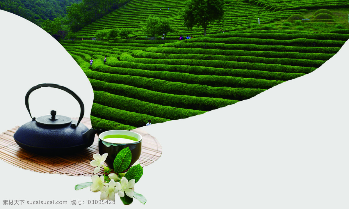 茶叶 清新 茶具 背景 海报 素材图片