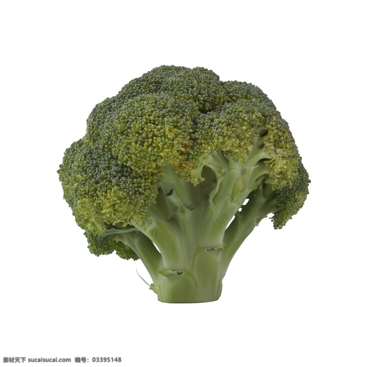 西兰花 免 抠 绿色蔬菜 新鲜的西兰花 健康的蔬菜 新鲜 好吃的西兰花