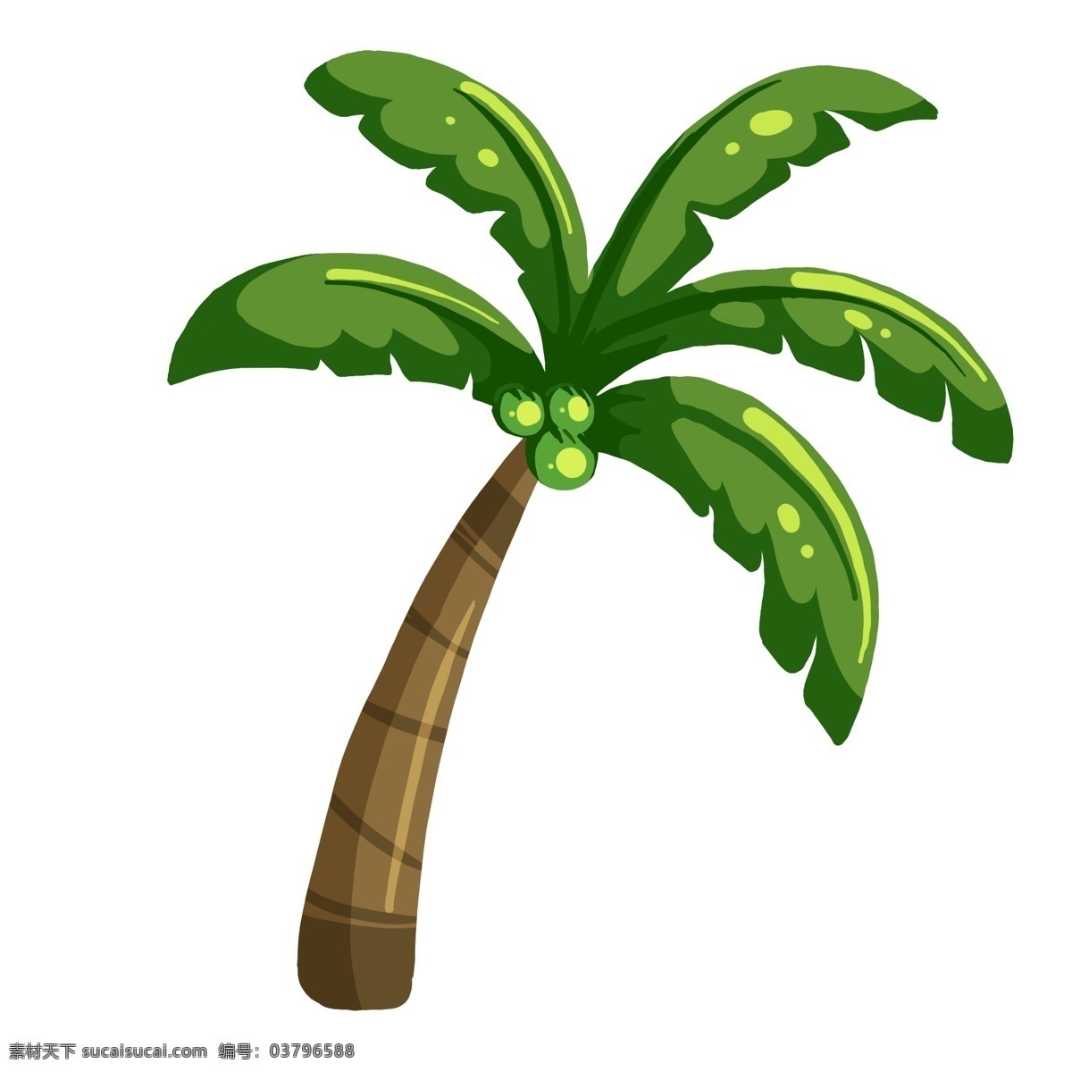 绿色 椰子树 插画 绿色的树木 植物 大树 植物插画 卡通植物插画 精美的椰子树 树木插画