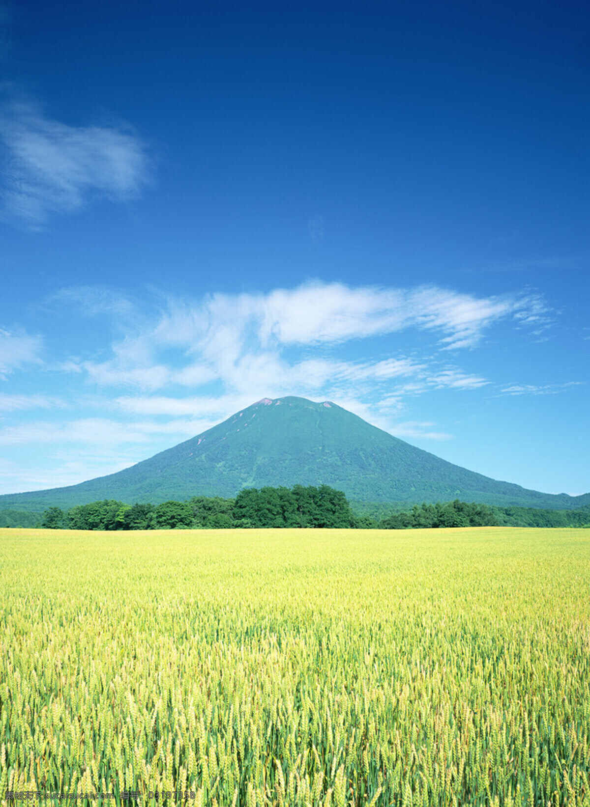 自然景观 大山 旅游摄影 麦田 风景 生活 旅游餐饮