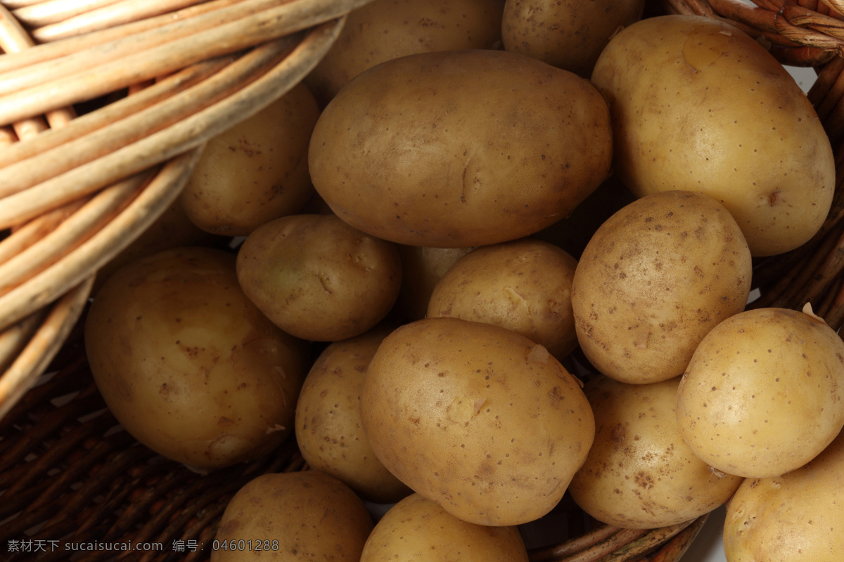 马铃薯 生物世界 蔬菜 土豆 一篮马铃薯 蔬菜主题 风景 生活 旅游餐饮