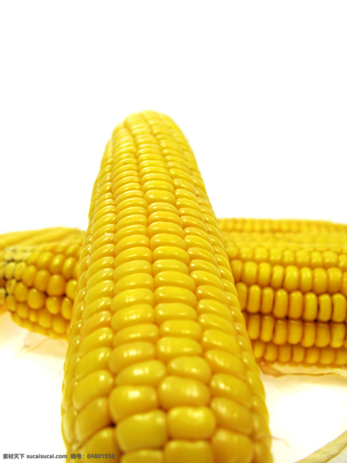 高清 玉米 高清素材 设计素材 高清玉米 金色玉米 蔬菜类素材 生物世界