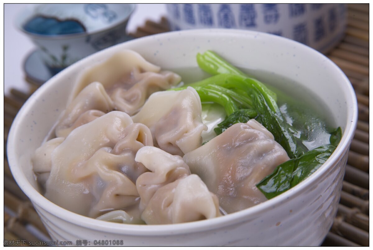 猪肉大葱水饺 美食摄影 传统菜 家常菜 传统美食 菜 餐饮美食