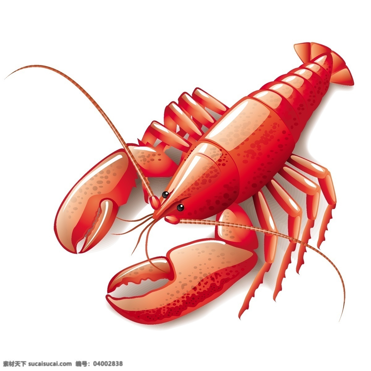 卡通龙虾 龙虾素材 龙虾表情 海鲜 海产品 大龙虾 卡通 海底动物 食品蔬菜水果 卡通设计