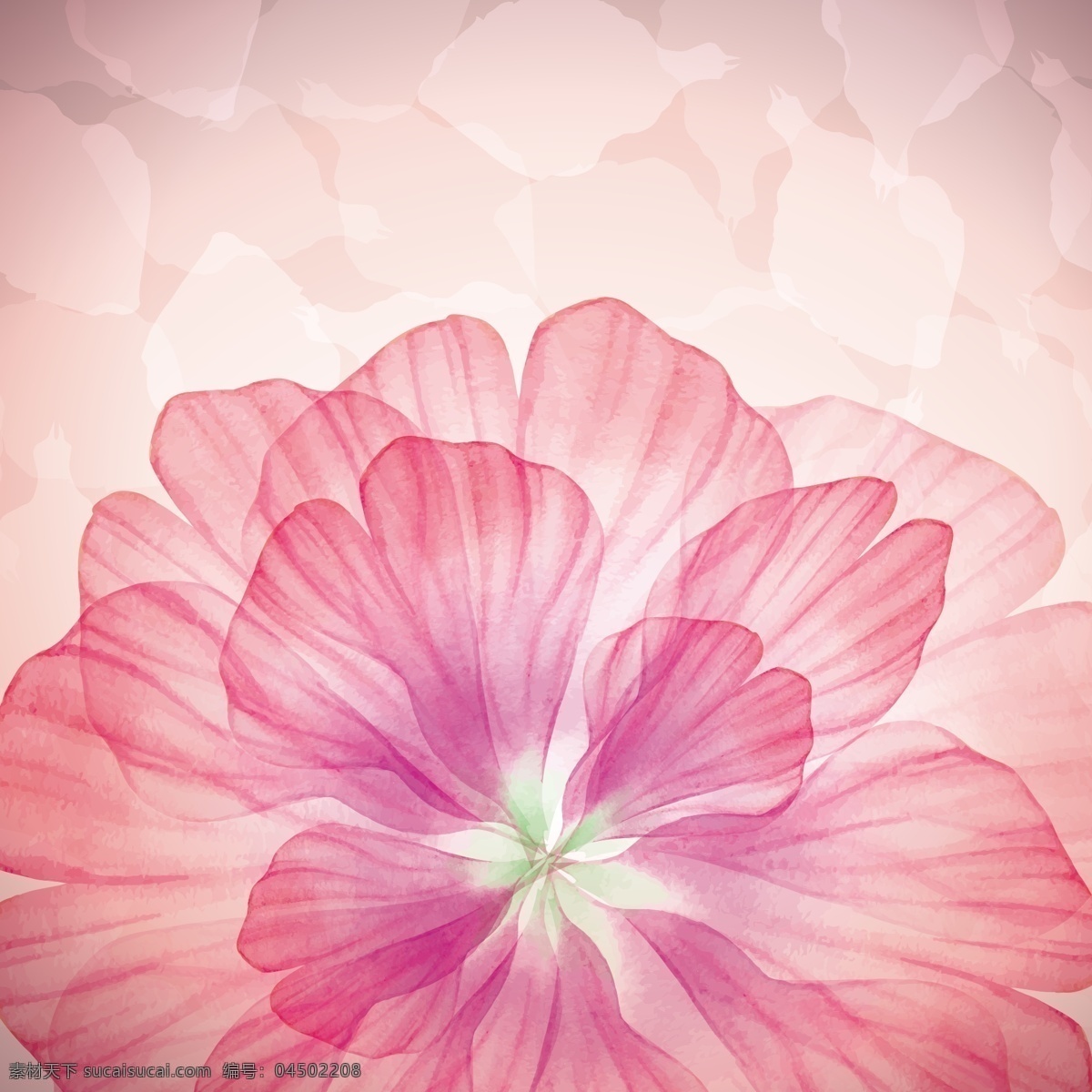 粉色 花瓣 背景图片 红色花瓣 红色花朵 花朵 矢量背景 矢量 高清图片