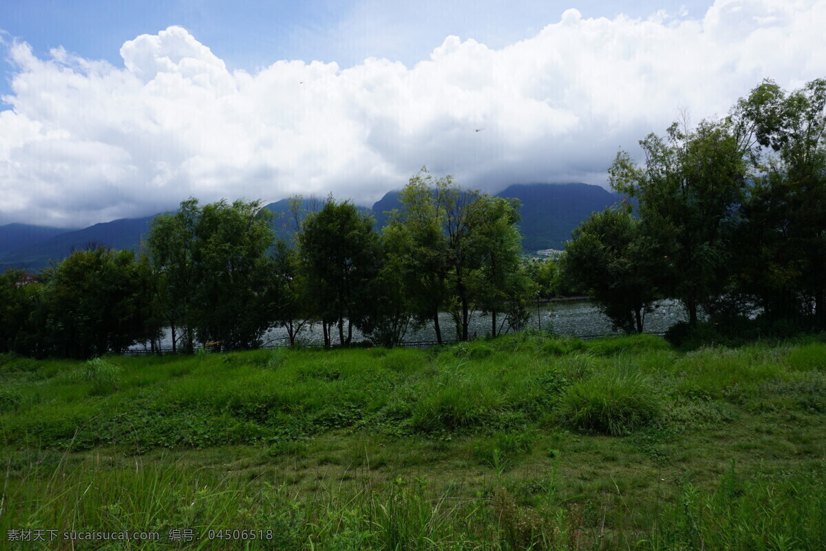 碧草蓝天 草地 蓝天 白云 绿树 大理风光 风景 春天 自然景观 自然风景