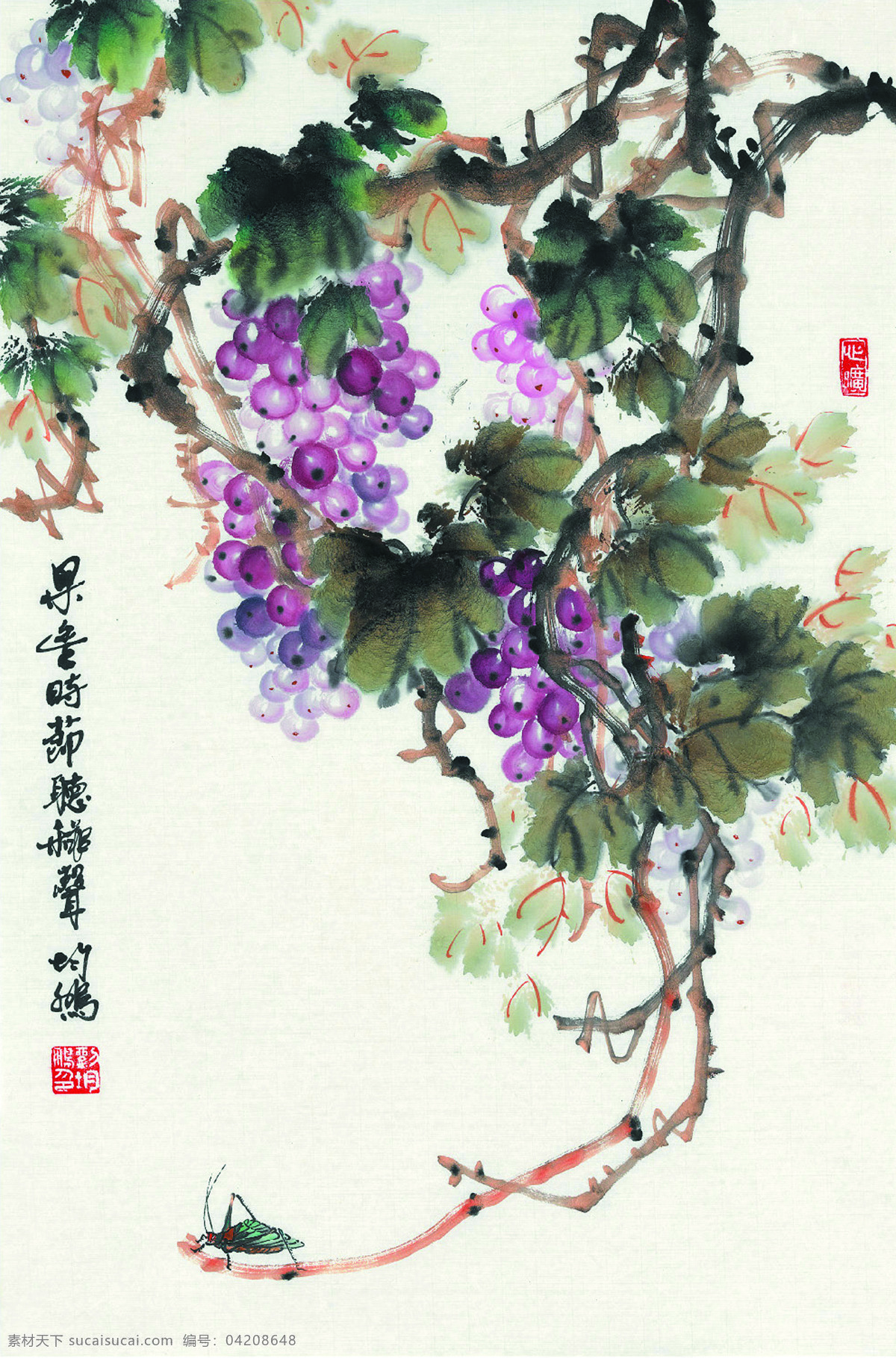 果香 时节 听 秋声 美术 中国画 彩墨画 果树 葡萄子 葡萄画 草虫 文化艺术 绘画书法