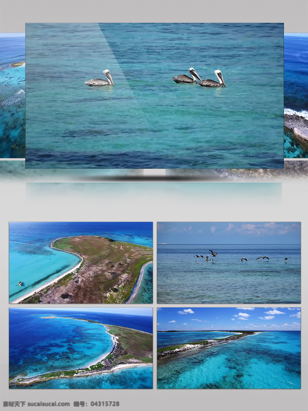 海洋 景观 珊瑚礁 岛屿 航拍 海岛 海鸟 生物 海浪 沙滩 海洋景观 壮观