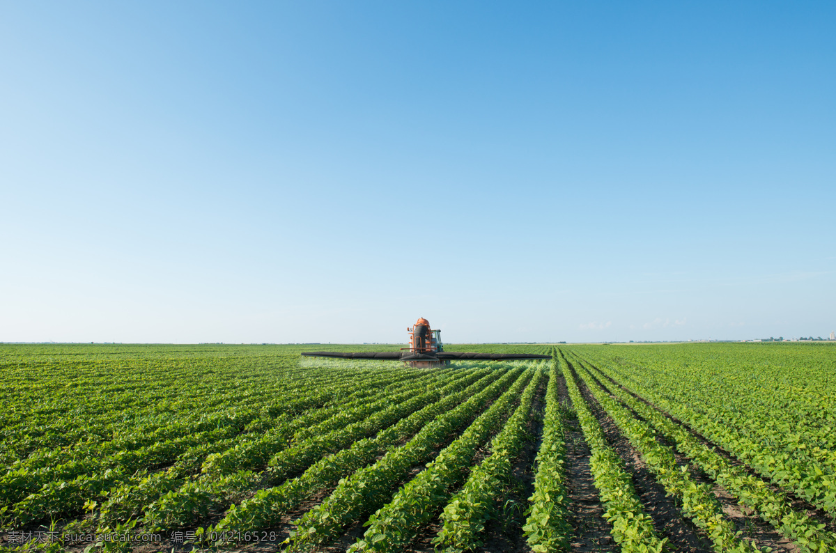 正在 庄稼地 里 机器 天空 蓝天 庄稼 农田 植物 绿色 农业生产 现代科技
