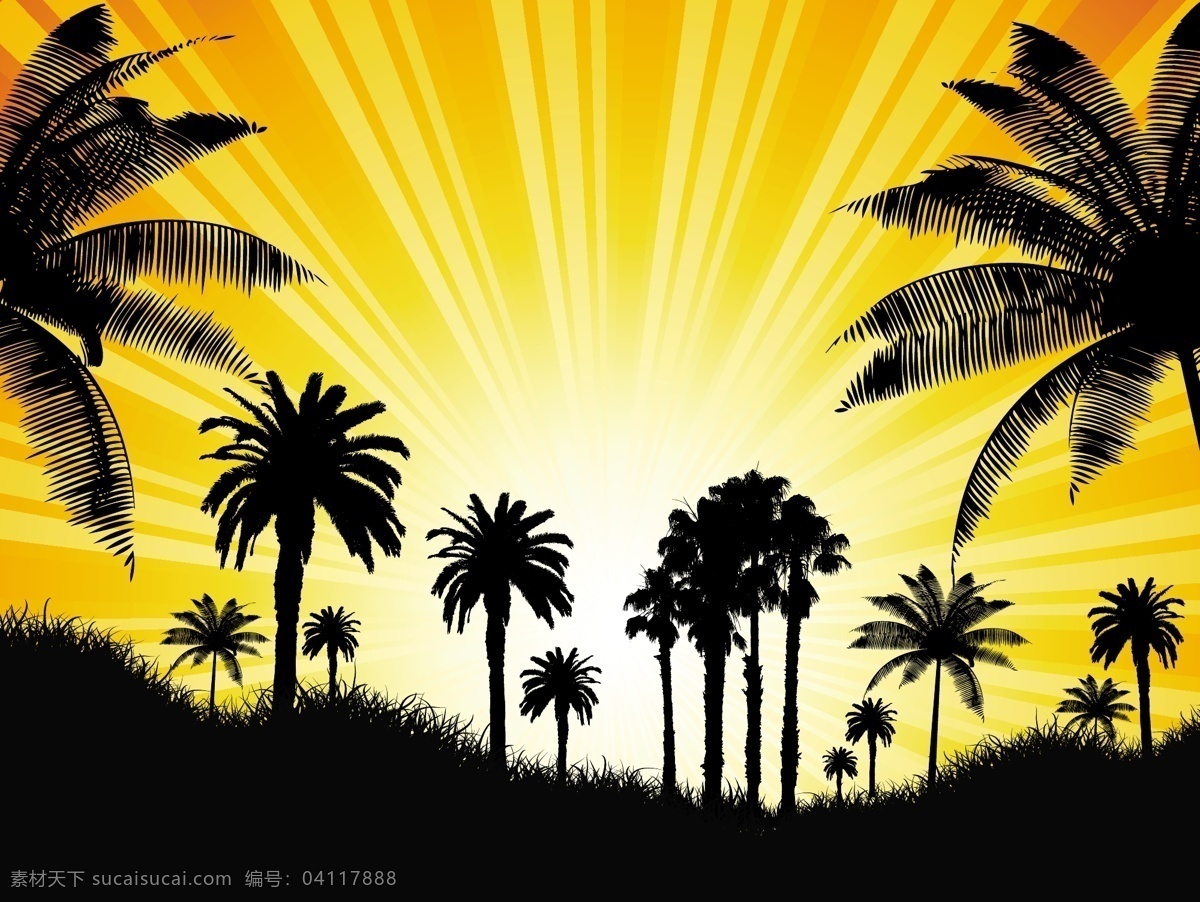 热带背景 棕榈树 晴朗 天空 下 背景 年份 树 抽象 叶 夏 自然 阳光 复古 景观 草 剪影 热带 大 条纹 棕榈 阳光闪耀