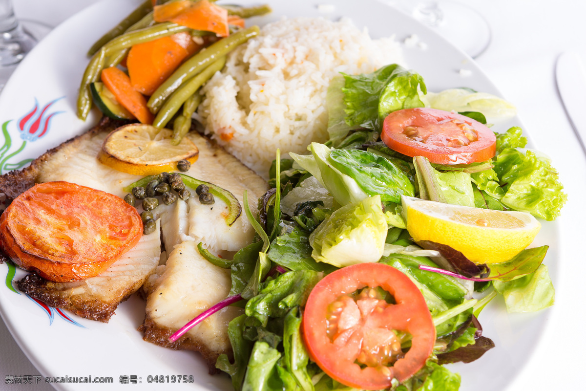 鱼肉 蔬菜 米饭 盘子 食物 美食 美食图片 餐饮美食