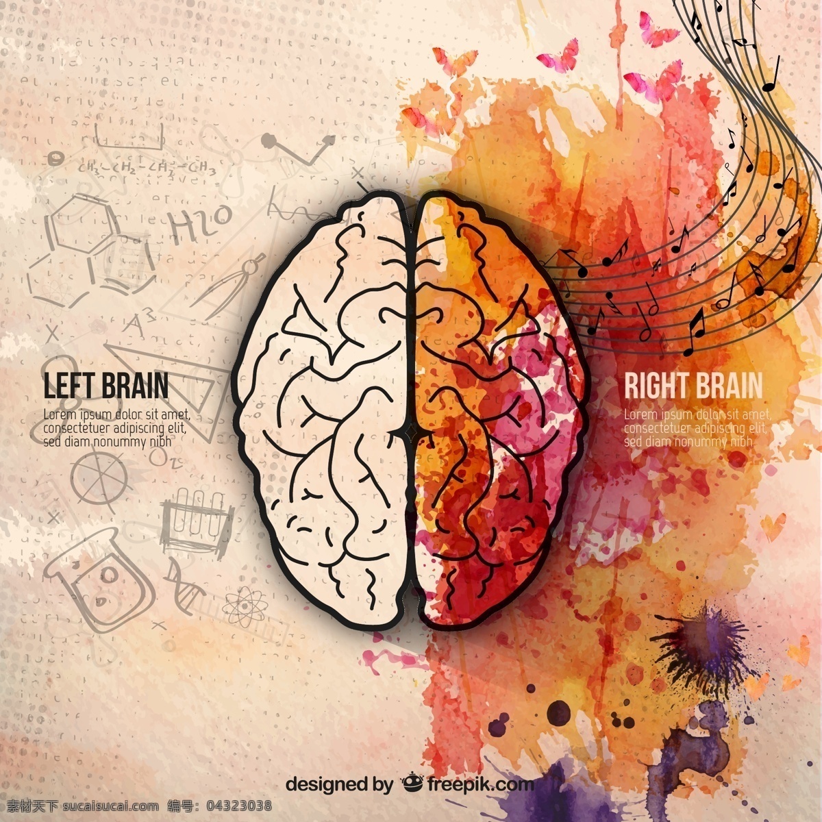 水彩大脑插画 蝴蝶 水彩语言 逻辑思维 大脑音符 创意 左脑 右脑 卡通素材