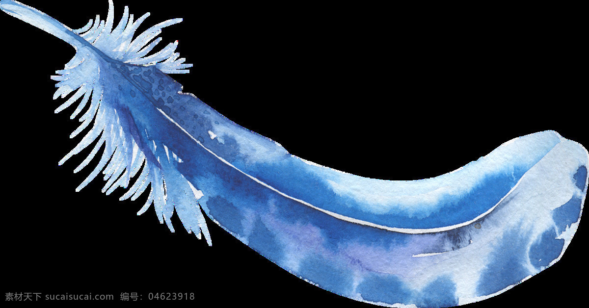 水 蓝 羽毛 透明 装饰 羽翼 动物 透明素材 免扣素材 装饰图案